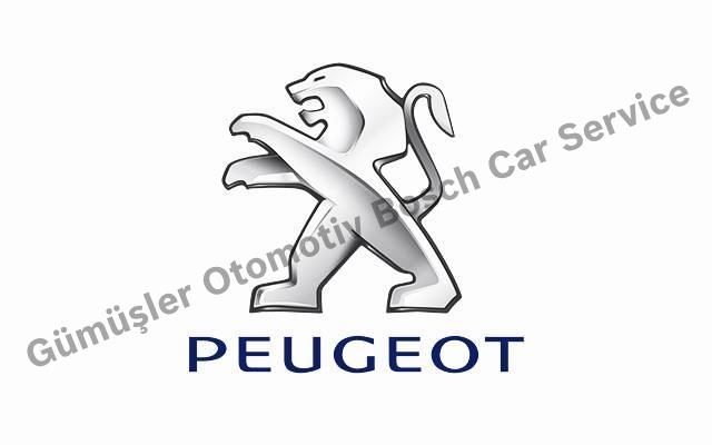 Konya Peugeot Servisi